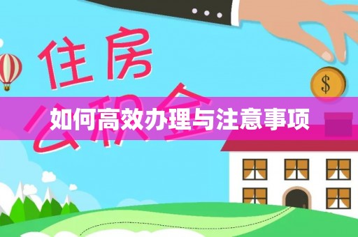 湘东如何高效办理与注意事项