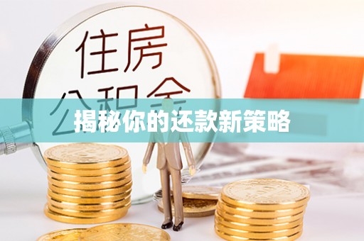 湘东揭秘你的还款新策略