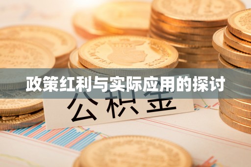 湘东政策红利与实际应用的探讨