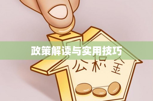 湘东政策解读与实用技巧
