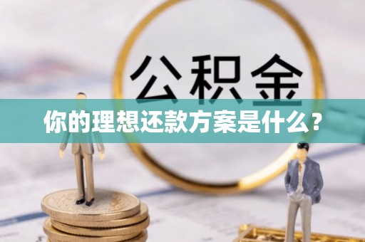 湘东你的理想还款方案是什么？
