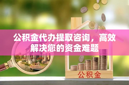 湘东公积金代办提取咨询，高效解决您的资金难题